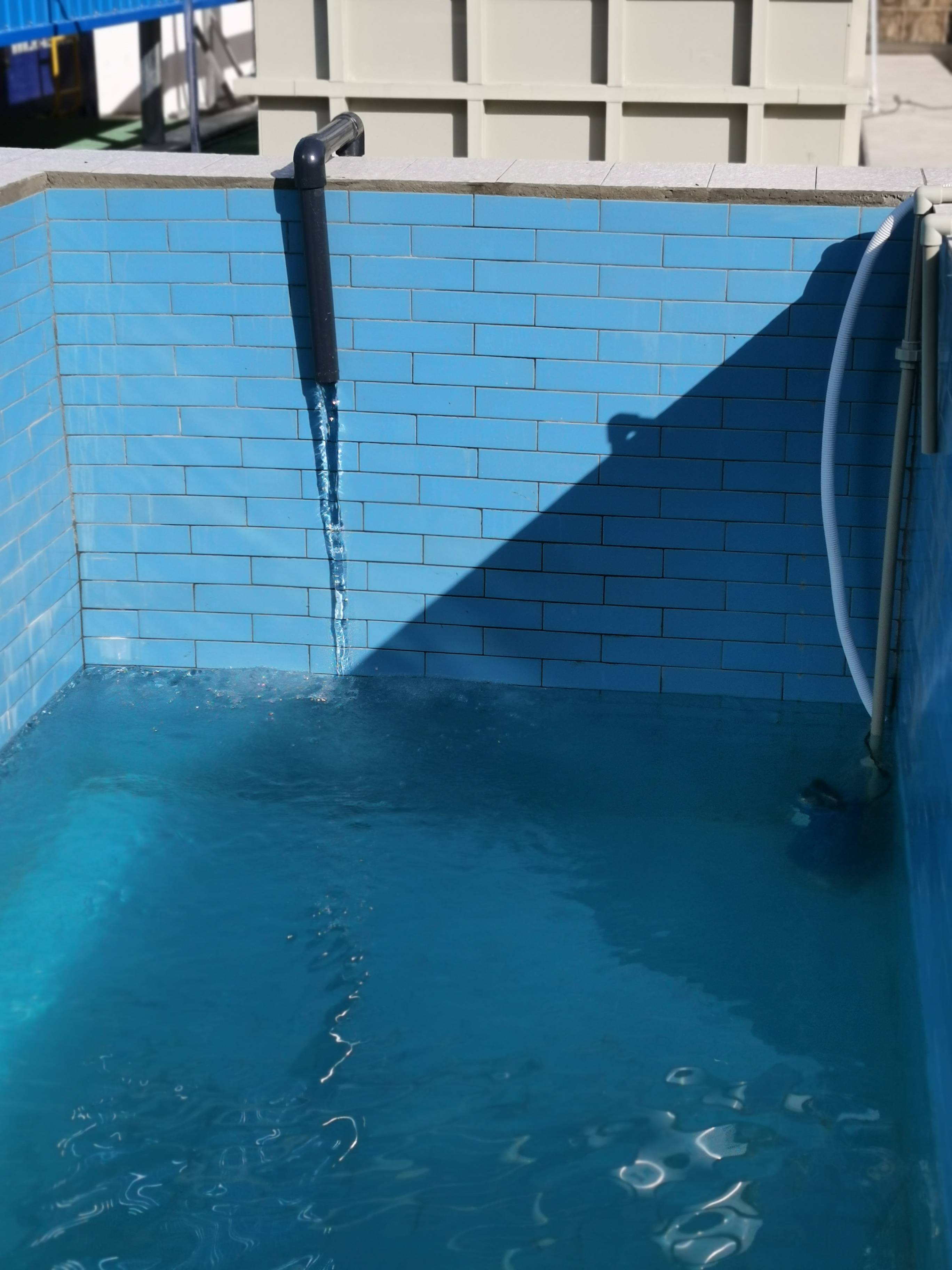 1611131878890124.jpg 1611131878890124.jpg